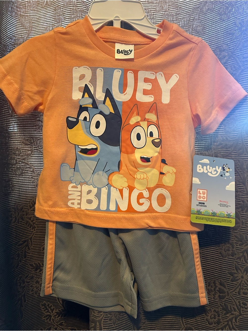Bluey and Bingo orange matching set